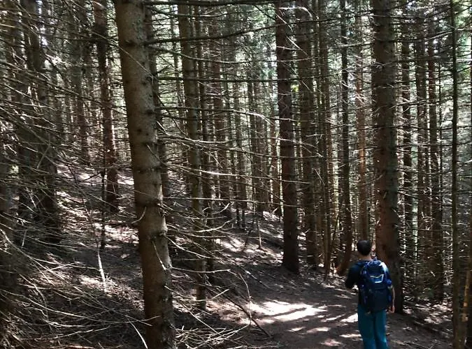 Isabelle * Presseggersee