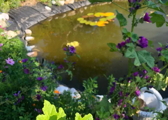 Isabelle Presseggersee