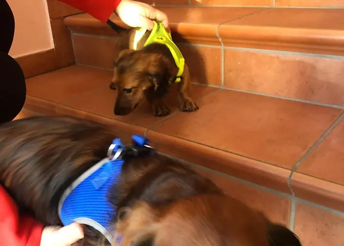 Isabelle Apartamento