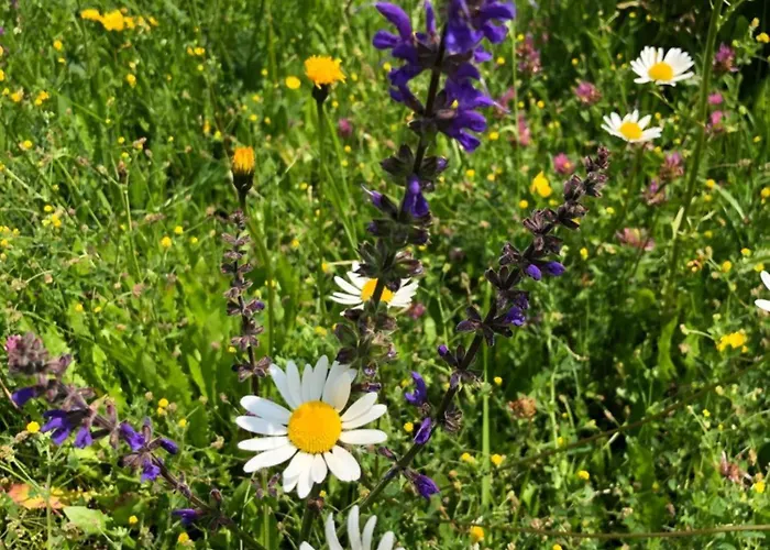 Isabelle Apartamento Presseggersee