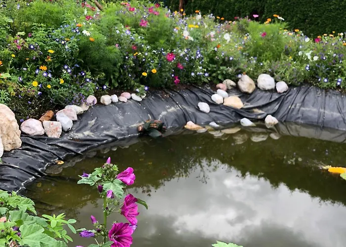 Isabelle Apartamento *